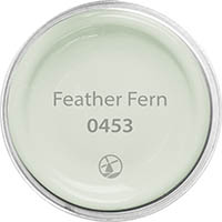 Feather Fern 0453