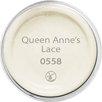 Queen Anne’s Lace 0558