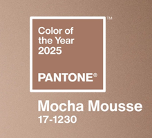 Pantone Mocha Mousse